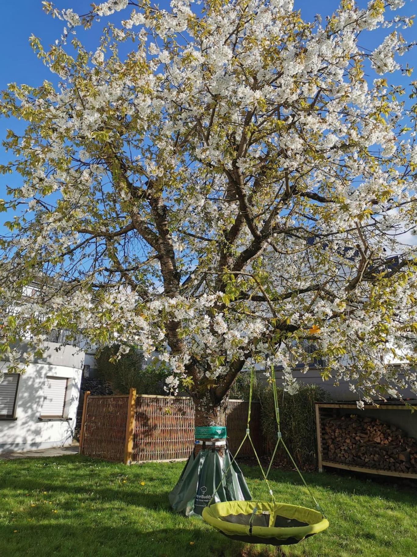Ferienwohnung Hedi Konz Buitenkant foto